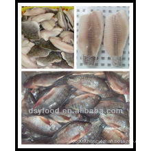 frozen black/red tilapia fillet